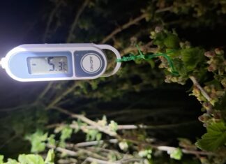 Mroźna noc, która zaważy na sezonie. Temperatura spadła do –9°C