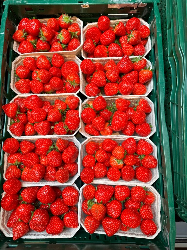 Niemieckie truskawki z uprawy tunelowej