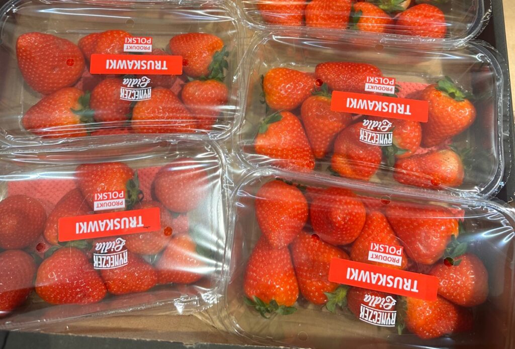 Polskie truskawki - odmiana 'Malling Centenary'