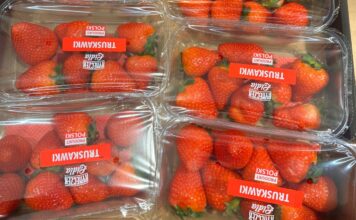 Polskie truskawki kontra owoce z importu Polskie truskawki - odmiana 'Malling Centenary'