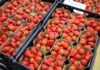 Niemcy: zróżnicowana sytuacja na rynku truskawek