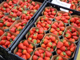 Niemcy: zróżnicowana sytuacja na rynku truskawek