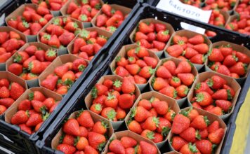 Niemcy: zróżnicowana sytuacja na rynku truskawek
