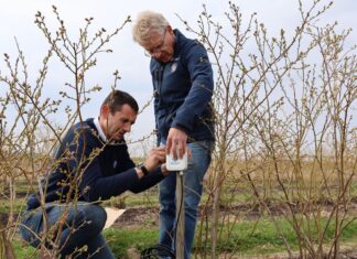 Zanim pojawią się objawy stresu. Monitoring gleby i mikroklimatu w praktyce weenat, borówkowe factory, czujniki,