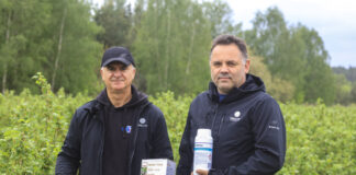 Projekt Porzeczka 2026 – zwalczanie mszyc, zwójek i pryszczarków. „Jest co chronić”