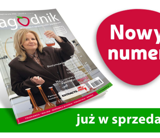 Zobaczcie co przeczytacie w najnowszym „Jagodniku” 5/2026? 100 stron jagodowych treści!