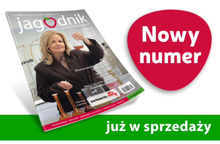 Zobaczcie co przeczytacie w najnowszym „Jagodniku” 5/2026? 100 stron jagodowych treści!