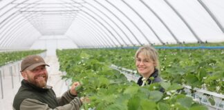 W Sarbinowie budują nowoczesną produkcję truskawek Urszula i Michał Stasiak