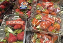 Polskie truskawki kontra import. Hiszpańskie owoce wygrywają ceną, ale konsumenci coraz częściej zwracają uwagę na jakość