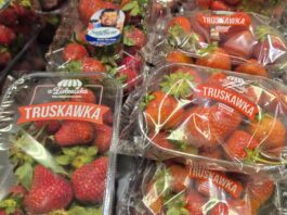 Polskie truskawki kontra import. Hiszpańskie owoce wygrywają ceną, ale konsumenci coraz częściej zwracają uwagę na jakość