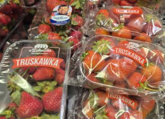 Polskie truskawki kontra import. Hiszpańskie owoce wygrywają ceną, ale konsumenci coraz częściej zwracają uwagę na jakość