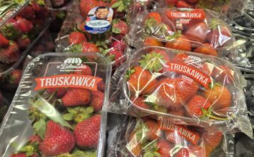 Polskie truskawki kontra import. Hiszpańskie owoce wygrywają ceną, ale konsumenci coraz częściej zwracają uwagę na jakość