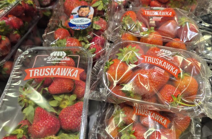 Polskie truskawki kontra import. Hiszpańskie owoce wygrywają ceną, ale konsumenci coraz częściej zwracają uwagę na jakość