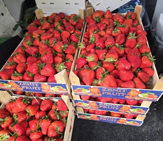 Patologie na rynku truskawek trwają w sezonie 2026. Import podszywa się pod polski produkt