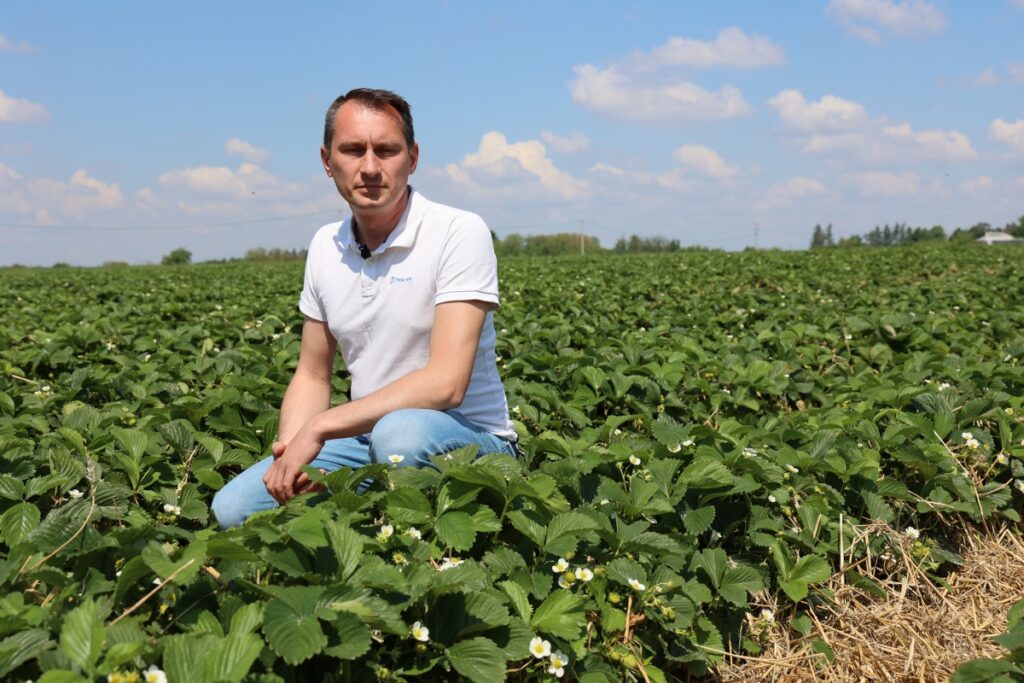 Jacek Witkowski, Timac Agro Polska