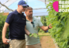 Berry Trip 2026 – spotkanie sezonu malinowego już 19 czerwca w gospodarstwie Pawła Chojnackiego