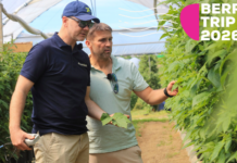 Berry Trip 2026 – spotkanie sezonu malinowego już 19 czerwca w gospodarstwie Pawła Chojnackiego