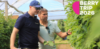 Berry Trip 2026 – spotkanie sezonu malinowego już 19 czerwca w gospodarstwie Pawła Chojnackiego