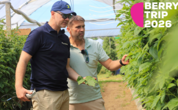 Berry Trip 2026 – spotkanie sezonu malinowego już 19 czerwca w gospodarstwie Pawła Chojnackiego