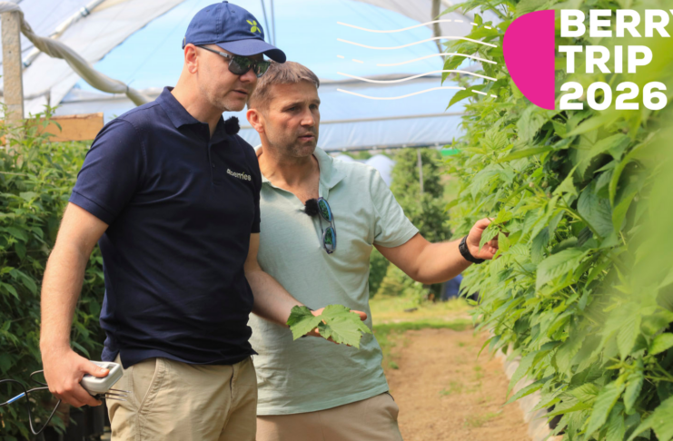 Berry Trip 2026 – spotkanie sezonu malinowego już 19 czerwca w gospodarstwie Pawła Chojnackiego