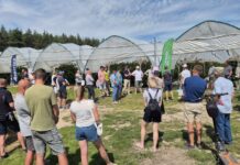 Fotogaleria z Berry Trip 2026 w Promnej-Kolonii. Praktyczna wiedza o nowoczesnej uprawie malin pod osłonami.