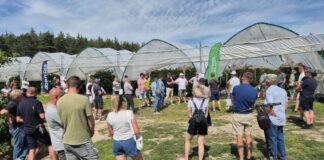 Fotogaleria z Berry Trip 2026 w Promnej-Kolonii. Praktyczna wiedza o nowoczesnej uprawie malin pod osłonami.