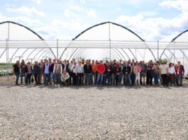 Nowoczesne technologie i pokazy maszyn podczas spotkania plantatorów borówki SPPB, stowarzyszenie polskich plantatorów borówki, agronom plants, agronom berries
