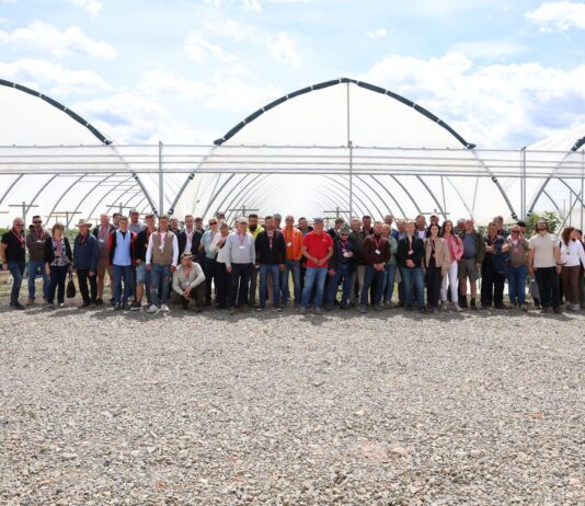Nowoczesne technologie i pokazy maszyn podczas spotkania plantatorów borówki SPPB, stowarzyszenie polskich plantatorów borówki, agronom plants, agronom berries