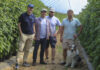 Berry Trip 2026 – nowy projekt dla producentów owoców jagodowych. Ruszamy w podróż przez najlepsze plantacje jagodowe