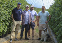 Berry Trip 2026 – nowy projekt dla producentów owoców jagodowych. Ruszamy w podróż przez najlepsze plantacje jagodowe