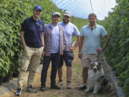 Berry Trip 2026 – nowy projekt dla producentów owoców jagodowych. Ruszamy w podróż przez najlepsze plantacje jagodowe