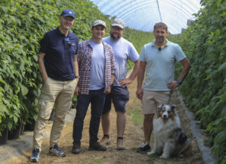 Berry Trip 2026 – nowy projekt dla producentów owoców jagodowych. Ruszamy w podróż przez najlepsze plantacje jagodowe