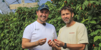 Berry Trip 2026 – już 19 czerwca. Jan Szałas wskazuje na kluczowe elementy spotkania