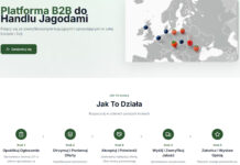 Berry Marketplace – cyfrowa platforma, która zmienia globalny handel owocami jagodowymi