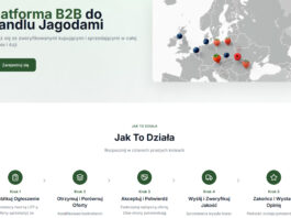 Berry Marketplace – cyfrowa platforma, która zmienia globalny handel owocami jagodowymi