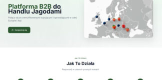 Berry Marketplace – cyfrowa platforma, która zmienia globalny handel owocami jagodowymi