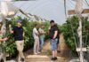 Nowoczesna plantacja malin zaczyna się od wody i klimatu. Jak zbudować system, który ułatwia produkcję? Krzysztof Rosiak z I-grow
