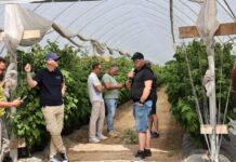 Nowoczesna plantacja malin zaczyna się od wody i klimatu. Jak zbudować system, który ułatwia produkcję? Krzysztof Rosiak z I-grow