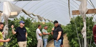 Nowoczesna plantacja malin zaczyna się od wody i klimatu. Jak zbudować system, który ułatwia produkcję? Krzysztof Rosiak z I-grow