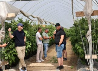Nowoczesna plantacja malin zaczyna się od wody i klimatu. Jak zbudować system, który ułatwia produkcję? Krzysztof Rosiak z I-grow