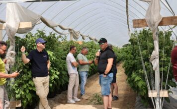Nowoczesna plantacja malin zaczyna się od wody i klimatu. Jak zbudować system, który ułatwia produkcję? Krzysztof Rosiak z I-grow