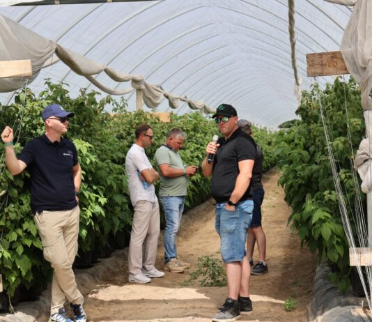Nowoczesna plantacja malin zaczyna się od wody i klimatu. Jak zbudować system, który ułatwia produkcję? Krzysztof Rosiak z I-grow