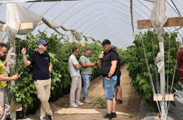 Nowoczesna plantacja malin zaczyna się od wody i klimatu. Jak zbudować system, który ułatwia produkcję? Krzysztof Rosiak z I-grow