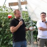 Damian Pawliński, Koppert Polska
