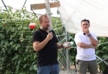 Biologia nie wybacza spóźnionych decyzji. Jak skutecznie prowadzić biologiczną ochronę malin w tunelach? Damian Pawliński, Koppert Polska