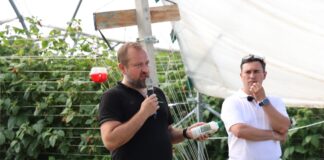 Biologia nie wybacza spóźnionych decyzji. Jak skutecznie prowadzić biologiczną ochronę malin w tunelach? Damian Pawliński, Koppert Polska