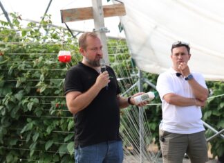 Biologia nie wybacza spóźnionych decyzji. Jak skutecznie prowadzić biologiczną ochronę malin w tunelach? Damian Pawliński, Koppert Polska
