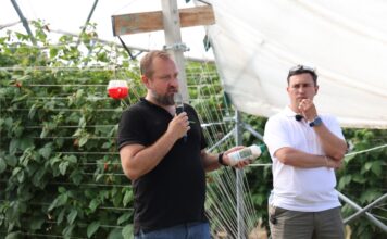Biologia nie wybacza spóźnionych decyzji. Jak skutecznie prowadzić biologiczną ochronę malin w tunelach? Damian Pawliński, Koppert Polska