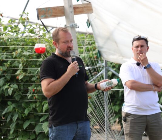 Biologia nie wybacza spóźnionych decyzji. Jak skutecznie prowadzić biologiczną ochronę malin w tunelach? Damian Pawliński, Koppert Polska