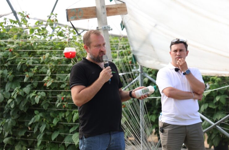 Biologia nie wybacza spóźnionych decyzji. Jak skutecznie prowadzić biologiczną ochronę malin w tunelach? Damian Pawliński, Koppert Polska